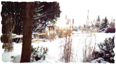 Winter Garden View